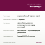 Колеус Peter's Wonder (срез/1шт) — что приедет