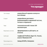 Колеус Pink Poison (0,1л) — что приедет