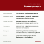 Колеус Red Coat (0,1л) — параметры сорта