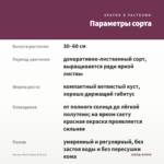 Колеус Red Craton II (0,1л) — параметры сорта