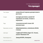 Колеус Red Craton II (0,1л) — что приедет