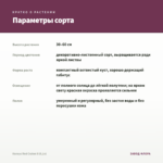 Колеус Red Craton II (0,1л) — параметры сорта