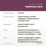 Колеус Red Ruffles (0,1л) — параметры сорта