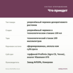 Колеус Red Ruffles (0,1л) — что приедет