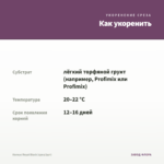 Колеус Royal Black (срез/1шт) — как укоренить черенок