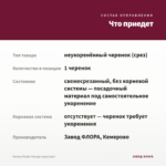 Колеус Rustic Orange (срез/1шт) — что приедет