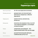 Колеус Serenade (0,1л) — параметры сорта