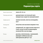 Колеус Serenade (срез/1шт) — параметры сорта