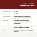 Колеус Serrano (0,1л) — параметры сорта