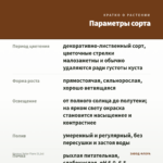 Колеус Solar Flare (0,1л) — параметры сорта