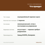 Колеус Solar Flare (срез/1шт) — что приедет