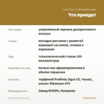Колеус Spiced Curry (0,1л) — что приедет