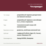 Колеус Stained Glassworks Crown Jewel (0,1 л) — что приедет