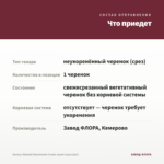Колеус Stained Glassworks Crown Jewel (срез/1шт) — что приедет