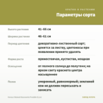 Колеус Stained Glassworks Presidio (0,1л) — параметры сорта