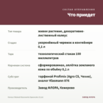 Колеус Stained Glassworks Spacecake (0,1л) — что приедет