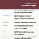 Колеус Stained Glassworks Spacecake (срез/1шт) — параметры сорта