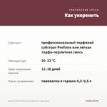 Колеус Stained Glassworks Spacecake (срез/1шт) — как укоренить черенок