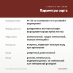 Колеус Stained Glasvork Velvet (0,1л) — параметры сорта