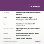 Колеус Staned Glassworks Royalty (0,1л) — что приедет