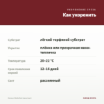Колеус Stella Red (срез/1шт) — как укоренить черенок