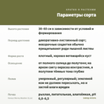 Колеус Stormy Weather (0,1л) — параметры сорта