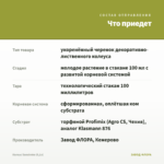Колеус Sunstroke (0,1л) — что приедет