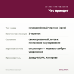 Колеус Tabasco (срез/1шт) — что приедет