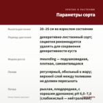 Колеус Tammy (срез/1шт) — параметры сорта