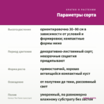 Колеус The Flame (срез/1шт) — параметры сорта