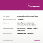 Колеус The Flame (срез/1шт) — что приедет