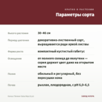Колеус Thrower Salsa Roja (0,1л) — параметры сорта
