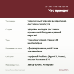 Колеус Thrower Salsa Roja (0,1л) — что приедет