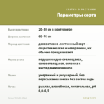 Колеус TN Hottie (0,1л) — параметры сорта