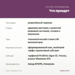 Колеус Trailing Black (0,1л) — что приедет