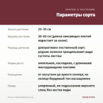 Колеус Trailing Burgundy (0,1л) — параметры сорта