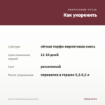 Колеус Trailing Burgundy (срез/1шт) — как укоренить черенок