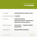 Колеус Tropica (срез/1шт) — что приедет