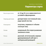 Колеус Tropica (срез/1шт) — параметры сорта