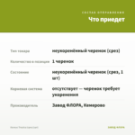 Колеус Tropica (срез/1шт) — что приедет