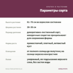 Колеус Twist and Twirl (0,1л) — параметры сорта
