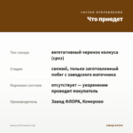Колеус UTS Hermit Crab — что приедет