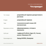 Колеус Velvet Mocha (0,1л) — что приедет