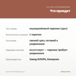 Колеус Velvet Mocha(срез/1шт) — что приедет