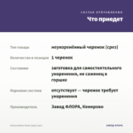 Колеус Вerry Sauce (срез/1шт) — что приедет