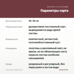 Колеус Victoria Ruffles (0,1л) — параметры сорта