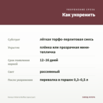 Колеус Victoria Ruffles (срез/1шт) — как укоренить черенок