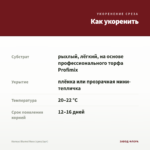 Колеус Вlumei Rose (срез/1шт) — как укоренить черенок