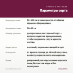 Колеус Walter Turner (0,1л) — параметры сорта