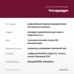 Колеус Watermelon (0,1л) — что приедет